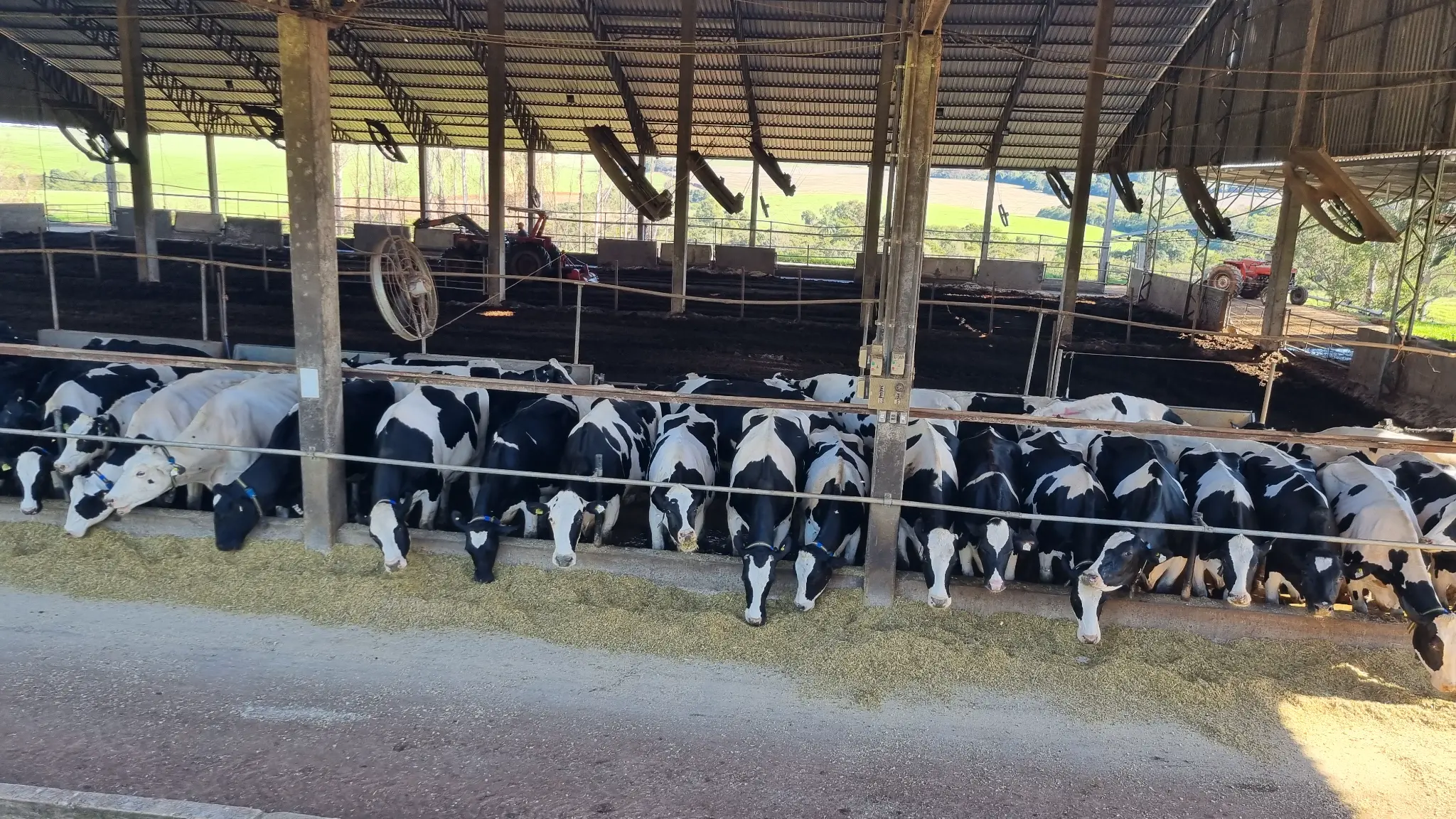 Produtores de Leite